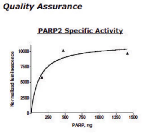 Sigma-Aldrich PARP2 Active human,重组体,在杆状病毒感染的昆虫细胞中表达,≥60%(SDS-PAGE)