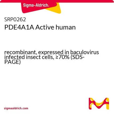 Sigma-Aldrich PDE4A1A Active human,重组,在杆状病毒感染的昆虫细胞中表达,≥70%(SDS-PAGE)