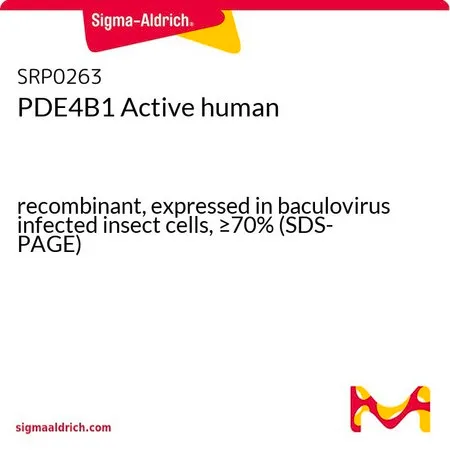 Sigma-Aldrich PDE4B1 Active human,重组,在杆状病毒感染的昆虫细胞中表达,≥70%(SDS-PAGE)