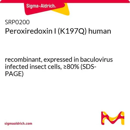 Sigma-Aldrich Peroxiredoxin I (K197Q) human,重组,在杆状病毒感染的昆虫细胞中表达,≥80%(SDS-PAGE)