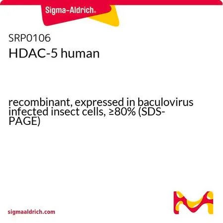 Sigma-Aldrich HDAC-5 human,重组,在杆状病毒感染的昆虫细胞中表达,≥80%(SDS-PAGE)