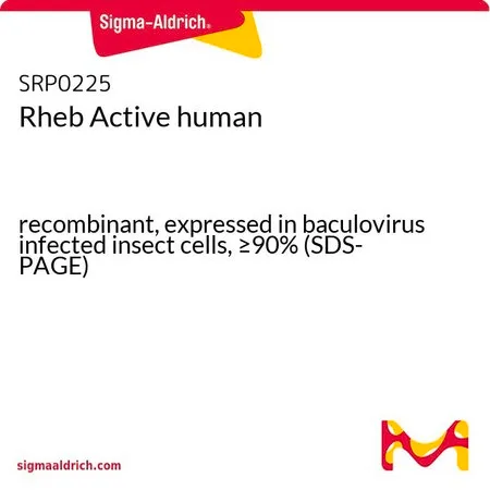 Sigma-Aldrich Rheb Active human,重组,在杆状病毒感染的昆虫细胞中表达,≥90%(SDS-PAGE)