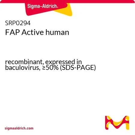 Sigma-Aldrich FAP Active human,重组,杆状病毒表达,≥50%(SDS-PAGE)