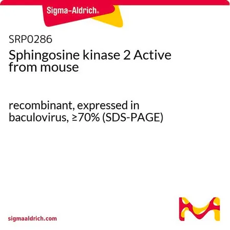 Sigma-Aldrich Sphingosine kinase 2 Active from mouse,重组,杆状病毒表达,≥70%(SDS-PAGE)