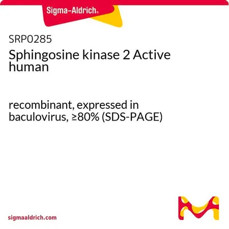 Sigma-Aldrich Sphingosine kinase 2 Active human,重组,杆状病毒表达,≥80%(SDS-PAGE)