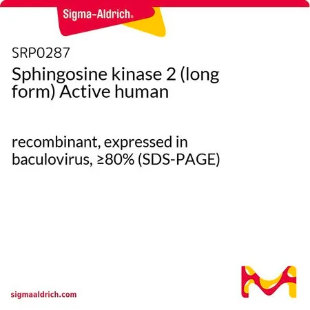 Sigma-Aldrich Sphingosine kinase 2 (long form) Active human,重组,杆状病毒表达,≥80%(SDS-PAGE)