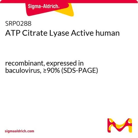 Sigma-Aldrich ATP枸橼酸裂解酶活性 人,重组,杆状病毒表达,≥90%(SDS-PAGE)