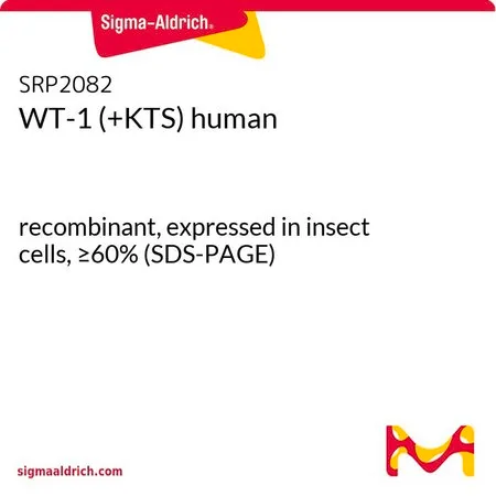 Sigma-Aldrich WT-1 (+KTS) human,重组体,在昆虫细胞中表达,≥60%(SDS-PAGE)