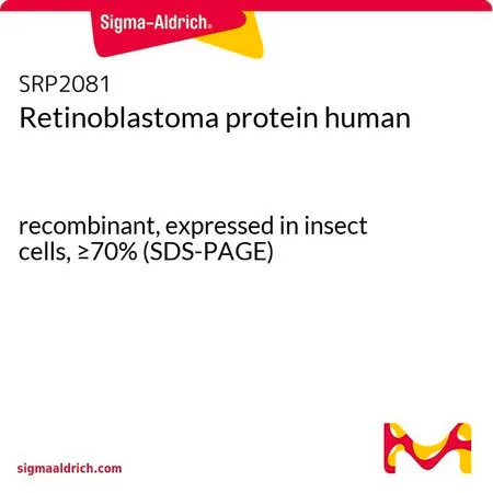 Sigma-Aldrich Retinoblastoma protein human,重组,在昆虫细胞中表达,≥70%(SDS-PAGE)