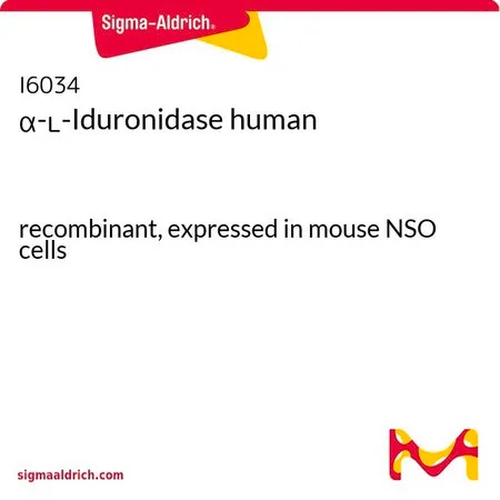 Sigma-Aldrich α- L -艾杜糖醛酸酶 人,重组,在小鼠NSO细胞中表达