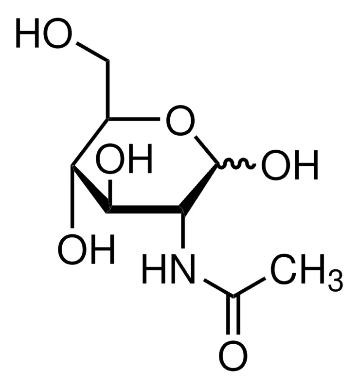 Sigma-Aldrich N-Acetyl-D-glucosamine–Agarose,盐水悬浮液