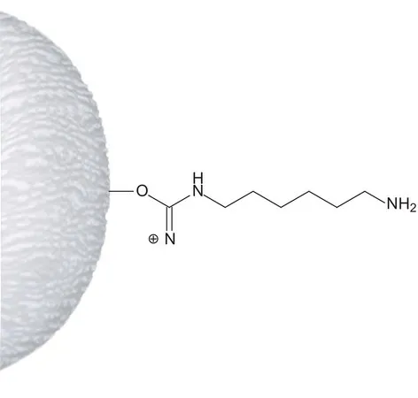 Sigma-Aldrich ω-Aminohexyl–Agarose,盐水悬浮液