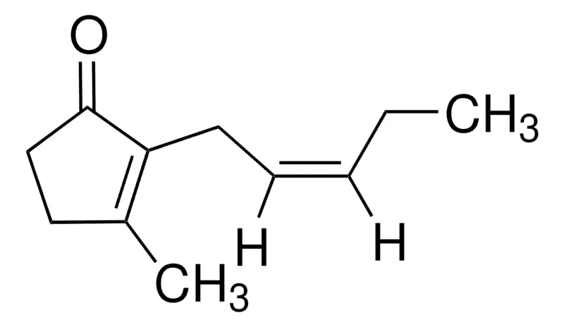 Sigma-Aldrich 顺式茉莉酮，稳定