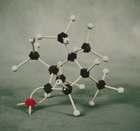 Sigma-Aldrich HGS Polyhedron molecular model，学生组，基础有机化学