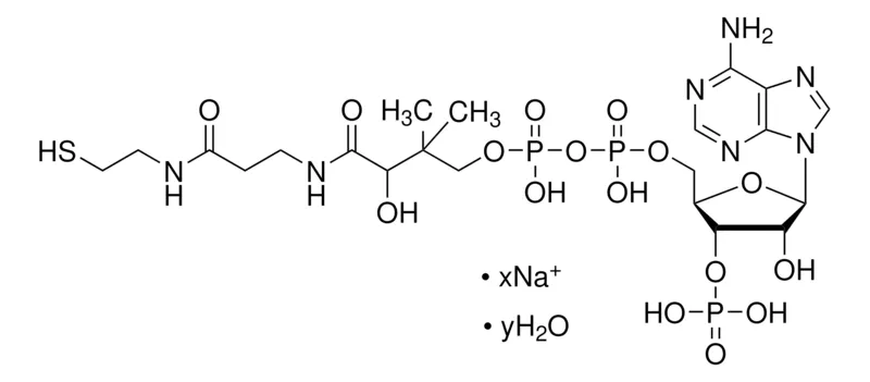 Sigma-Aldrich 辅酶 A 钠盐 水合物,BioReagent,适用于细胞培养