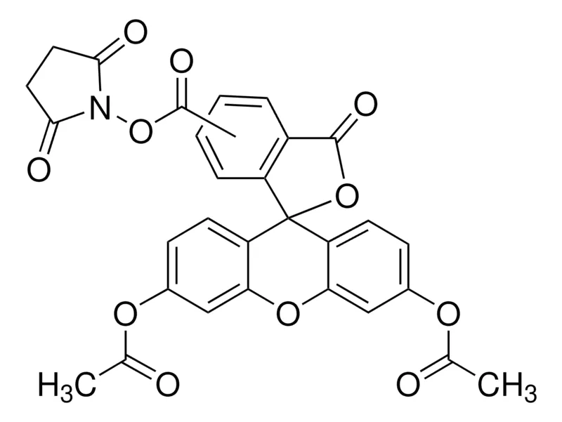 Sigma-Aldrich 5-Carboxy-fluorescein diacetate N-succinimidyl ester，适用于荧光，≥95.0%（HPLC）