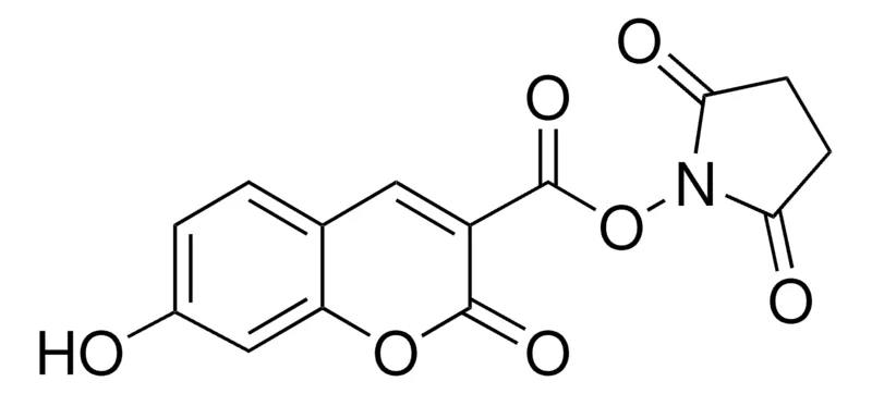 Sigma-Aldrich 7-羟基香豆素-3-羧酸 N -琥珀酰亚胺酯,适用于荧光,≥95.0%(与氨丙基硅胶偶联测定)