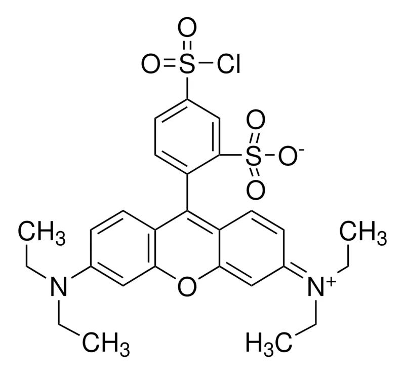 Sigma-Aldrich 酸性氯化物硫酰罗罗丹明B，适用于荧光，技术