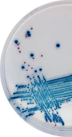 默克密理博 STEC Millichrome™ plus Supplement,适用于微生物学