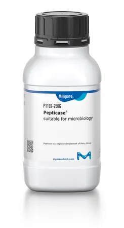 默克密理博 Pepticase®，来自牛乳的酪蛋白的酶消化物，≥11%氮，≥4%氨基