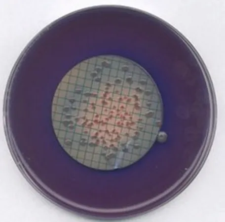 默克密理博 m-FC 琼脂,NutriSelect® Plus,根据APHA,粉末,大肠菌群选择性和鉴别,500 g包装,适用于微生物学
