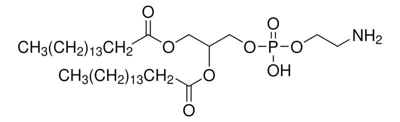 Sigma-Aldrich 1,2-Dipalmitoyl-rac-glycero-3-phosphoethanolamine，合成，≥98%
