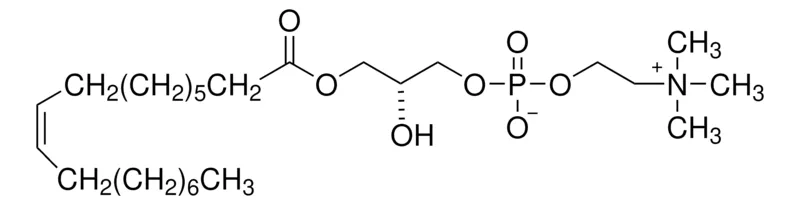 Sigma-Aldrich 1-油酰-sn -甘油基-3-磷酸胆碱，合成，≥99%
