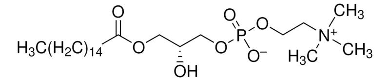 Sigma-Aldrich 1-棕榈酰-sn-甘油-3-磷酸胆碱,合成,≥99%
