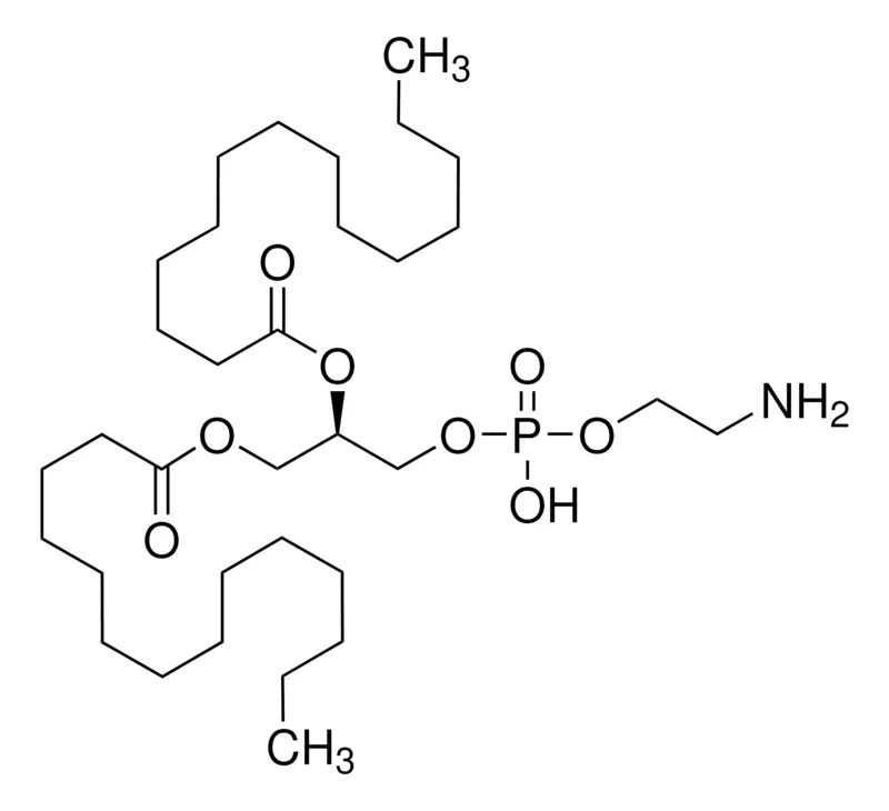 Sigma-Aldrich 1,2-二肉豆蔻酰-sn-甘油基-3-磷酸乙醇胺，合成，≥99%