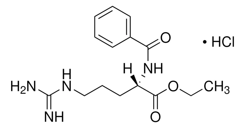 Sigma-Aldrich Nα-苯甲酰基-L-精氨酸乙酯 盐酸盐,胰蛋白酶底物,显色,≥97%(HPLC),粉末