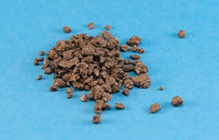 Sigma-Aldrich Microporous carbon boiling chips，重量227克