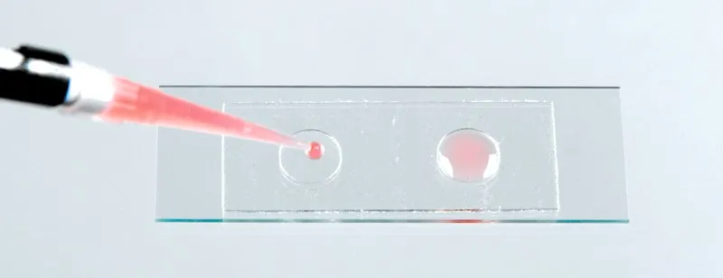 Sigma-Aldrich Microscope slide wells, 2-wells，孔直径×深度1 cm × 0.50 mm，每包25个