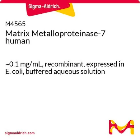Sigma-Aldrich Matrix Metalloproteinase-7 human，~0.1 mg/mL，重组，在大肠杆菌中表达，缓冲水溶液