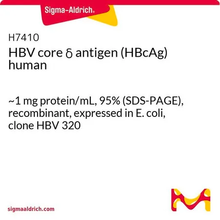 Sigma-Aldrich HBV core δ antigen (HBcAg) human，约1 mg蛋白/mL，95%（SDS-PAGE），重组，在大肠杆菌中表达，克隆HBV 320