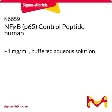 Sigma-Aldrich NFκB (p65) Control Peptide human，p65，人，缓冲水溶液