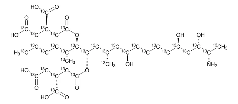 默克Supelco 伏马菌素 B1-13C34标准液 溶液，约25 μ g/mL乙腈：水溶液，分析标准品