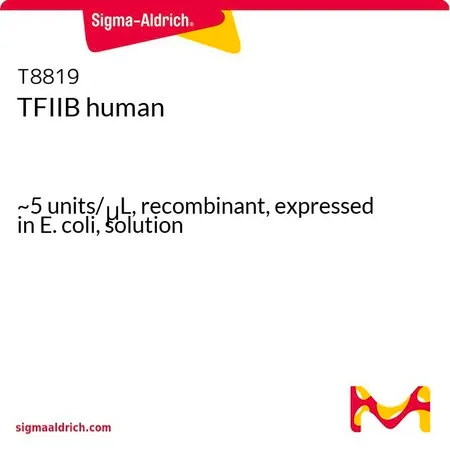 Sigma-Aldrich TFIIB human，约5单位/μL，重组，在大肠杆菌中表达，溶液