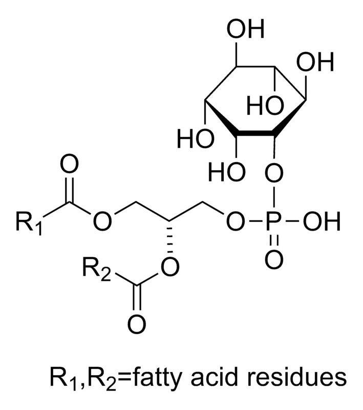 Sigma-Aldrich L-α-磷脂酰肌醇 来源于大豆,约50%(薄层色谱法)