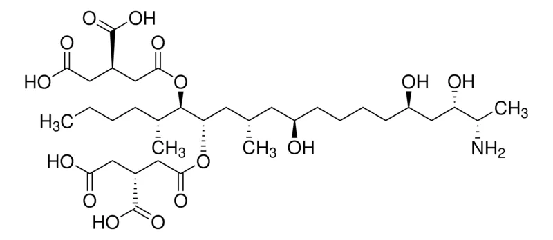 默克Supelco 伏马菌素 B1 溶液，约50 μ g/mL乙腈：水溶液，分析标准品