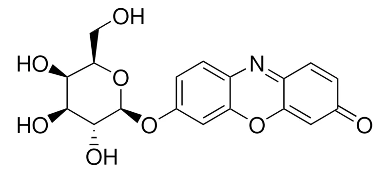 Sigma-Aldrich 试卤灵 β-D-吡喃半乳糖苷,~95%,粉末