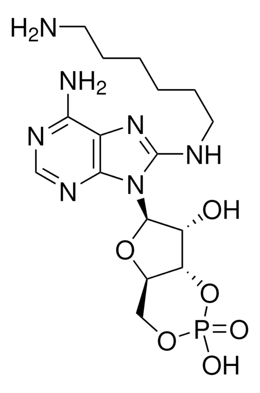 Sigma-Aldrich 8-（6-氨基己基）-氨基腺苷 3′,5′-环单磷酸，约98%