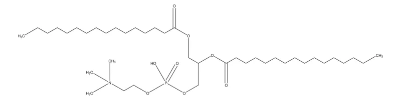 Sigma-Aldrich 1,2-二棕榈酰- rac -甘油基-3-磷酸胆碱，约99%