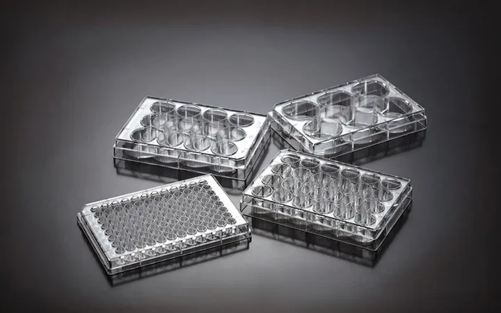 Sigma-Aldrich TWD BioX Tissue Culture Plates，6孔，平底，聚苯乙烯，无菌，单独包装