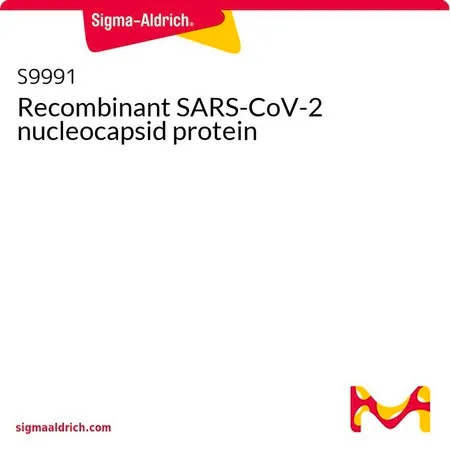 Sigma-Aldrich Recombinant SARS-CoV-2 nucleocapsid protein
