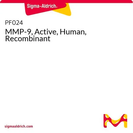 Sigma-Aldrich MMP-9,活化,人,重组