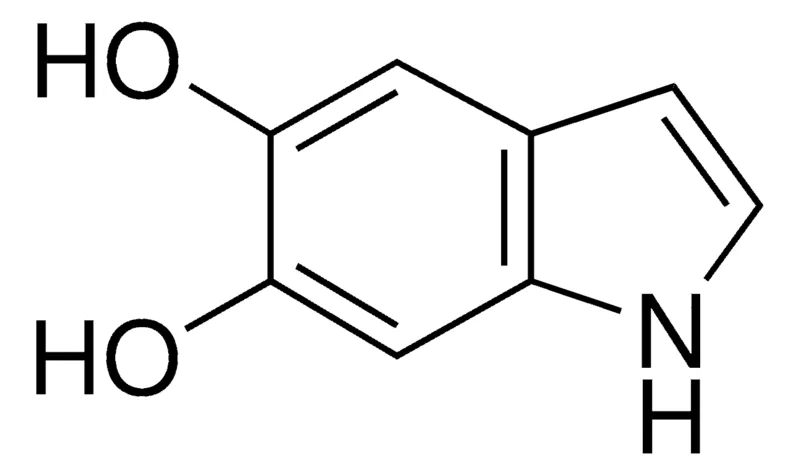 Sigma-Aldrich 5,6-二甲苯胺吲哚