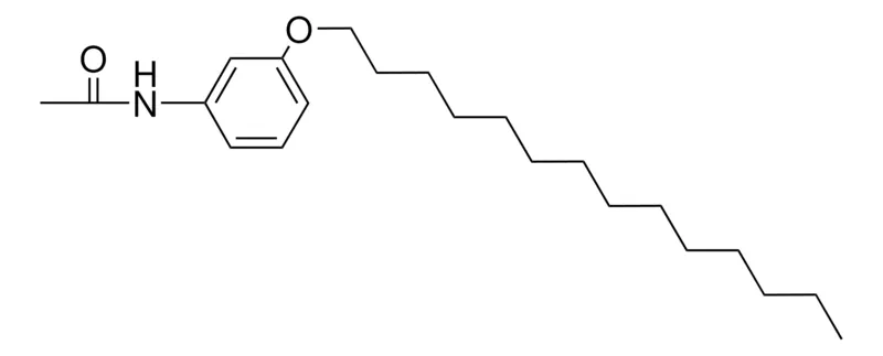 Sigma-Aldrich 3'-(TETRADECYLOXY)ACETANILIDE，AldrichCPR