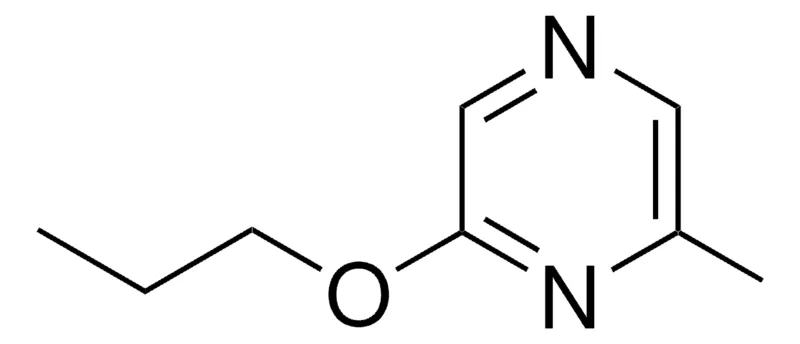 Sigma-Aldrich 2-METHYL-6-PROPOXY-PYRAZINE,AldrichCPR
