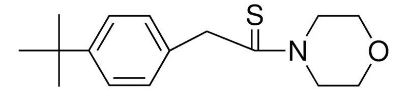 Sigma-Aldrich 2-(4-TERT-BUTYL-PHENYL)-1-MORPHOLIN-4-YL-ETHANETHIONE,AldrichCPR