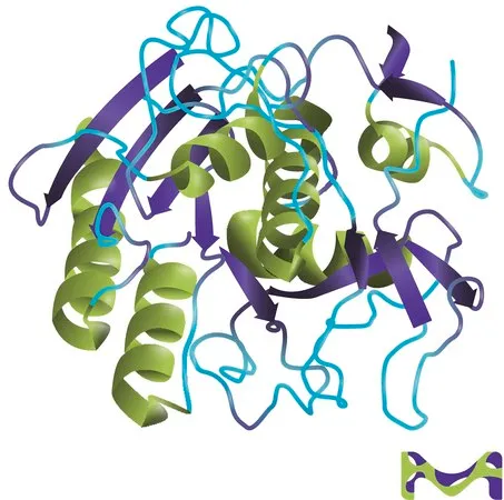 Sigma-Aldrich 蛋白酶 K 来源于林伯氏白色念球菌,≥500单位/mL,甘油缓冲水溶液